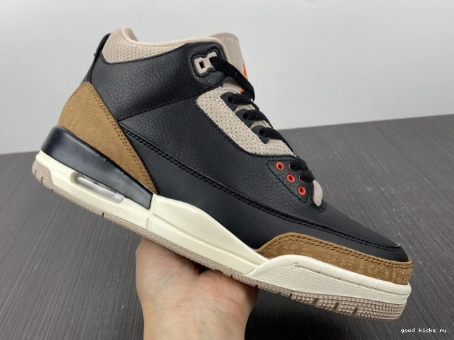 Elephant Desert Air Jordan CT8532-008 3 0709